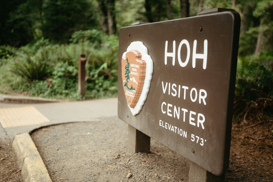 Wooden trailhead sign at the entrance to a forest trail